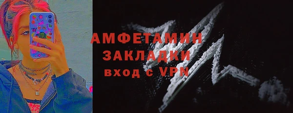 прущие грибы Волосово