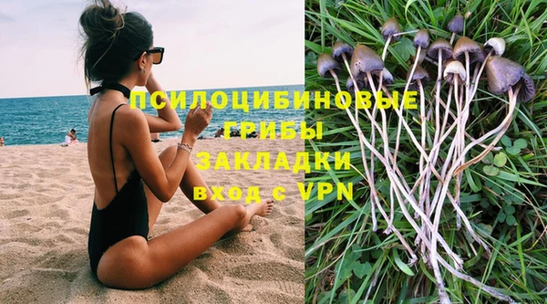 apvp Магас