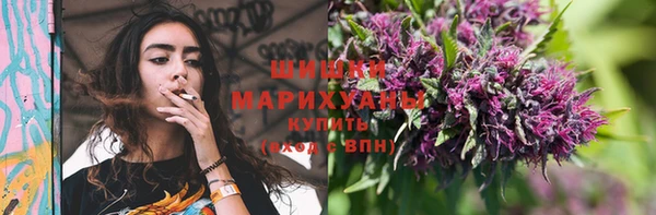 прущие грибы Волосово