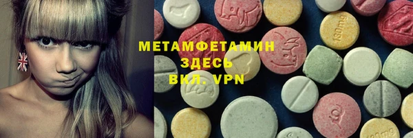 прущие грибы Волосово