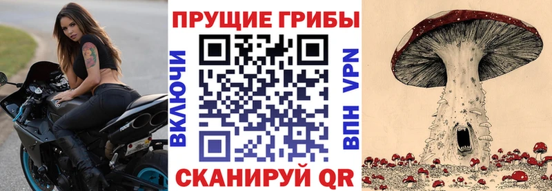 Псилоцибиновые грибы ЛСД  Красавино 